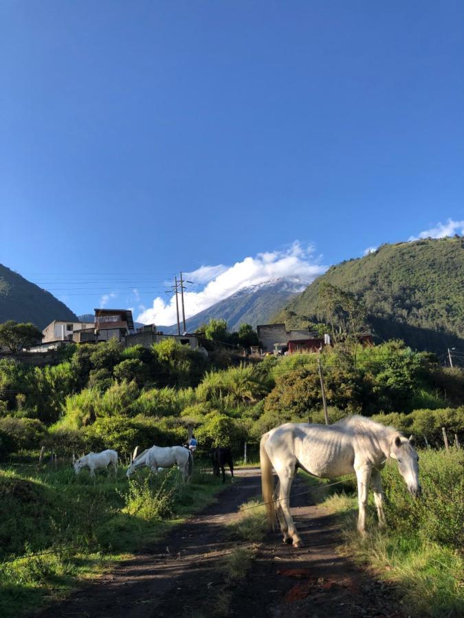 Premium Holiday Cabin - Spectacular Tungurahua Volcano View Baños Buitenkant foto